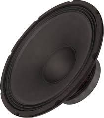 Professionell 150W RMS Bashögtalare