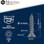 Skruvar i Rostfritt Stål Torx V2A - 4x25 mm