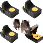 Professionell Musfälla Set - 4 St