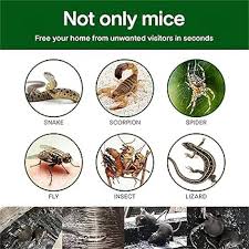 EKSED 12-pack Klisterfällor för Skadedjur/Råttor (60 x 28 cm)