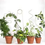 Botanopia Spaljé – 4 Stöd för Klätterväxter