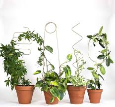 Botanopia Spaljé – 4 Stöd för Klätterväxter