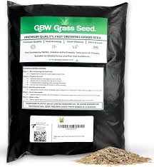 Premium Gräsfrö 1 kg - Täcker 35 kvm